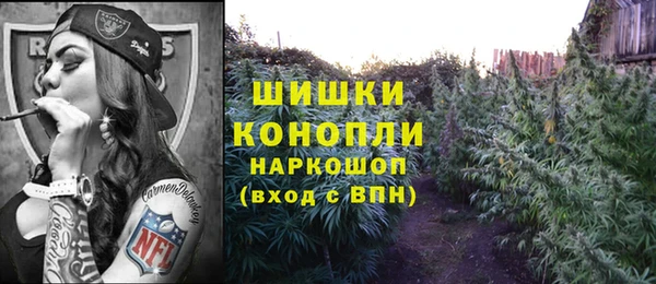сатива Алексеевка